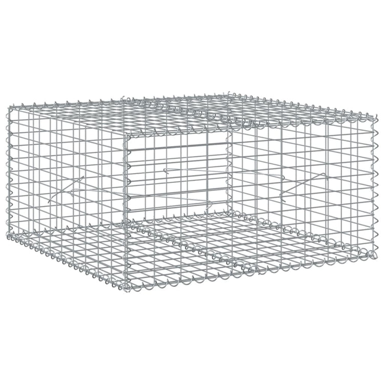 Vidaxl schanskorf 100x100x50 cm Galvanisé en fer argent couleur