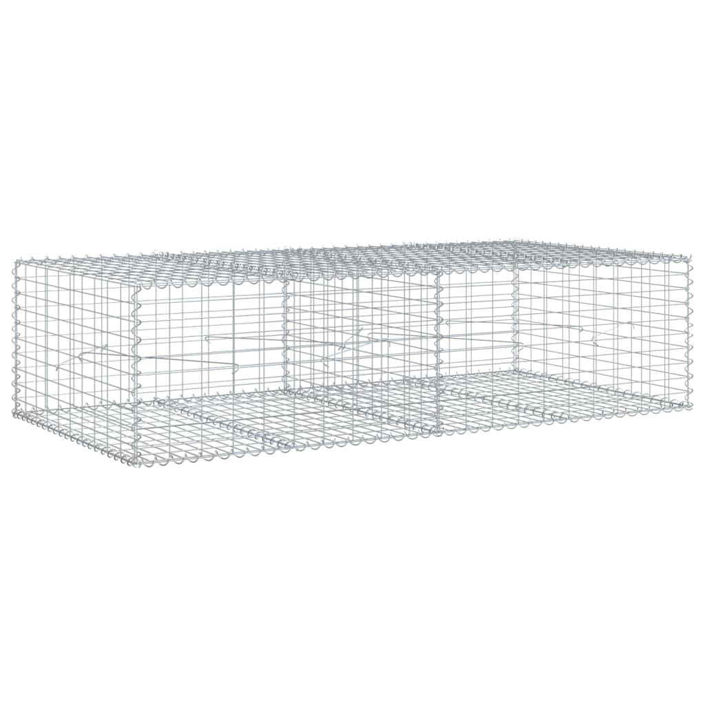 Vidaxl schanskorf 200x100x50 cm Couleur argenté en fer galvanisé