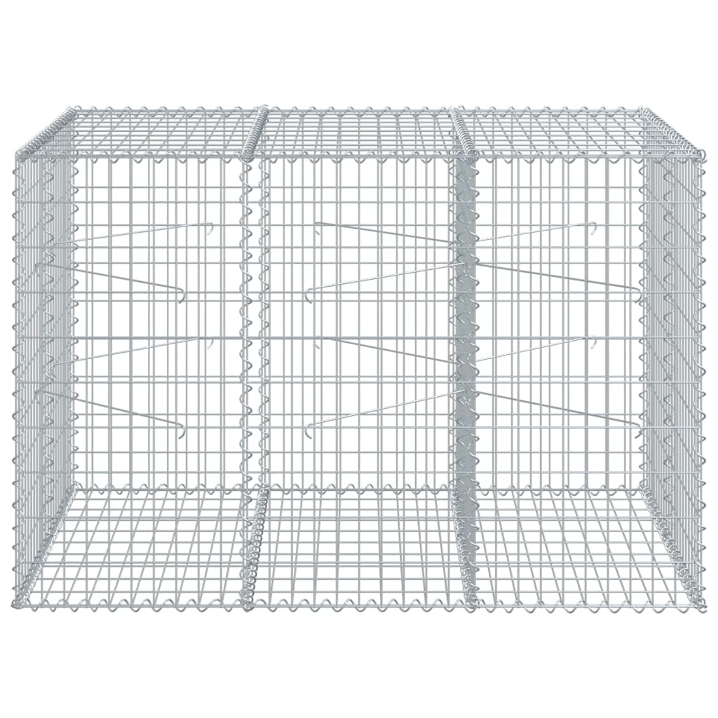 Vidaxl schanskorf 150x100x100 cm Galvanisé en fer argent couleur