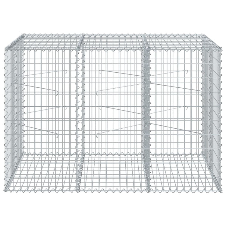 Vidaxl schanskorf 150x100x100 cm Galvanisé en fer argent couleur