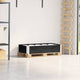 Vidaxl paletopzetrand 100x50 cm pin solide noir