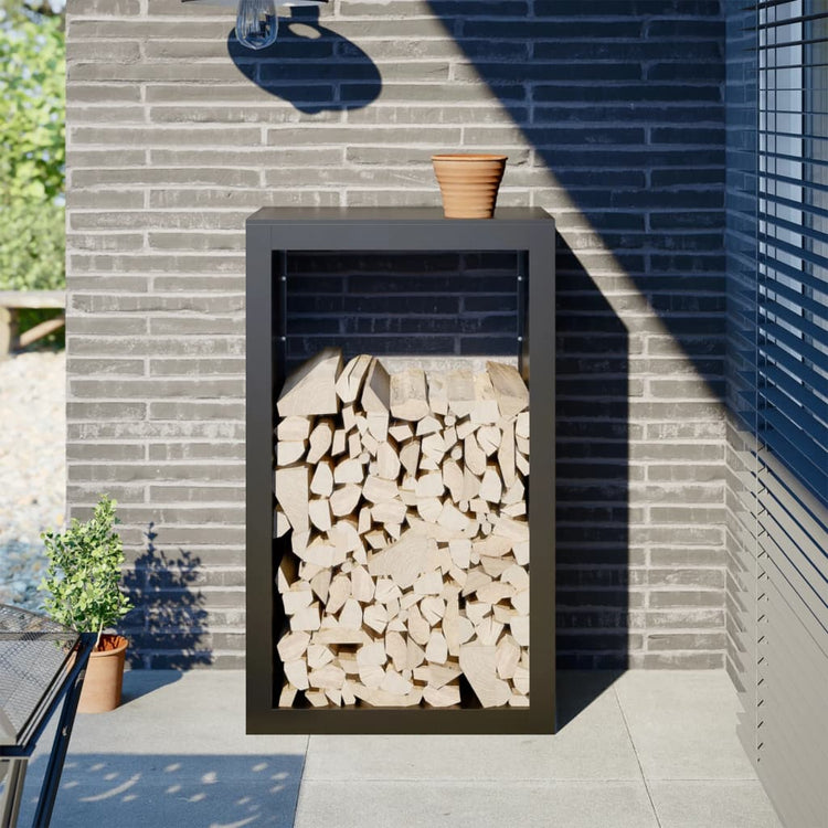 Fidaxl Foyer 60x40x100 cm en acier noir