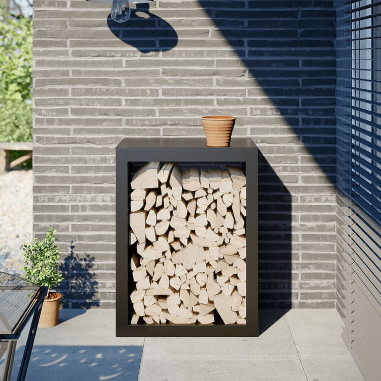 Fidaxl Foyer 60x40x80 cm en acier noir