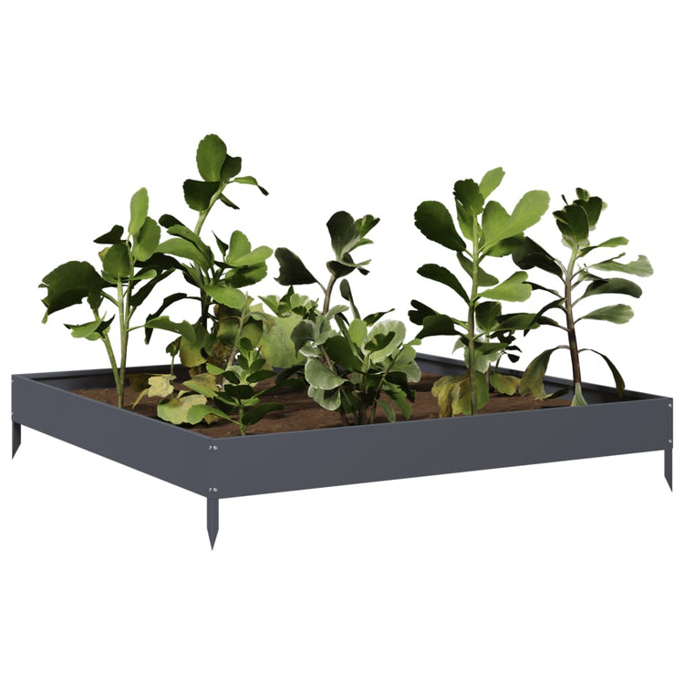 INSERT PLANTER VIDAXL 100X100X18.5 cm Anthracite en acier -colore
