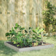 Vidaxl Planter surélevé 100x100x18,5 cm en acier inoxydable