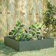 Vidaxl Planter surélevé 100x100x25 cm en acier vert olive