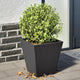 Vidaxl Planters 2 ST 30x30x30 cm en acier noir