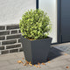 Vidaxx jardinière 30x30x30 cm acier anthracite