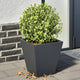 Vidaxl Planters 2 ST 30x30x30 cm Anthracite en acier -colore