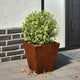 Boîte de planification Vidaxl 30x30x30 cm