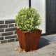 Vidaxl Planters 2 ST 30x30x30 cm