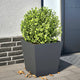 Boîte de planification Vidaxl 40x40x40 cm Anthracite en acier -colore