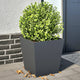 Vidaxl Planters 2 ST 40x40x40 cm Anthracite en acier -colore