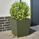 Vidaxl Planters 2 ST 40x40x40 cm en acier vert olive