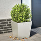 Banc de plante Vidaxl 40x40x40 cm en acier inoxydable