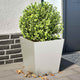 Jardiers Vidaxl 2 ST 40x40x40 cm en acier inoxydable
