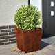 Vidaxl Planters 2 ST 40x40x40 cm