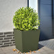Boîte de planification Vidaxl 50x50x50 cm Green d'olive en acier