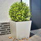 Jardiers Vidaxl 2 ST 50x50x50 cm en acier inoxydable