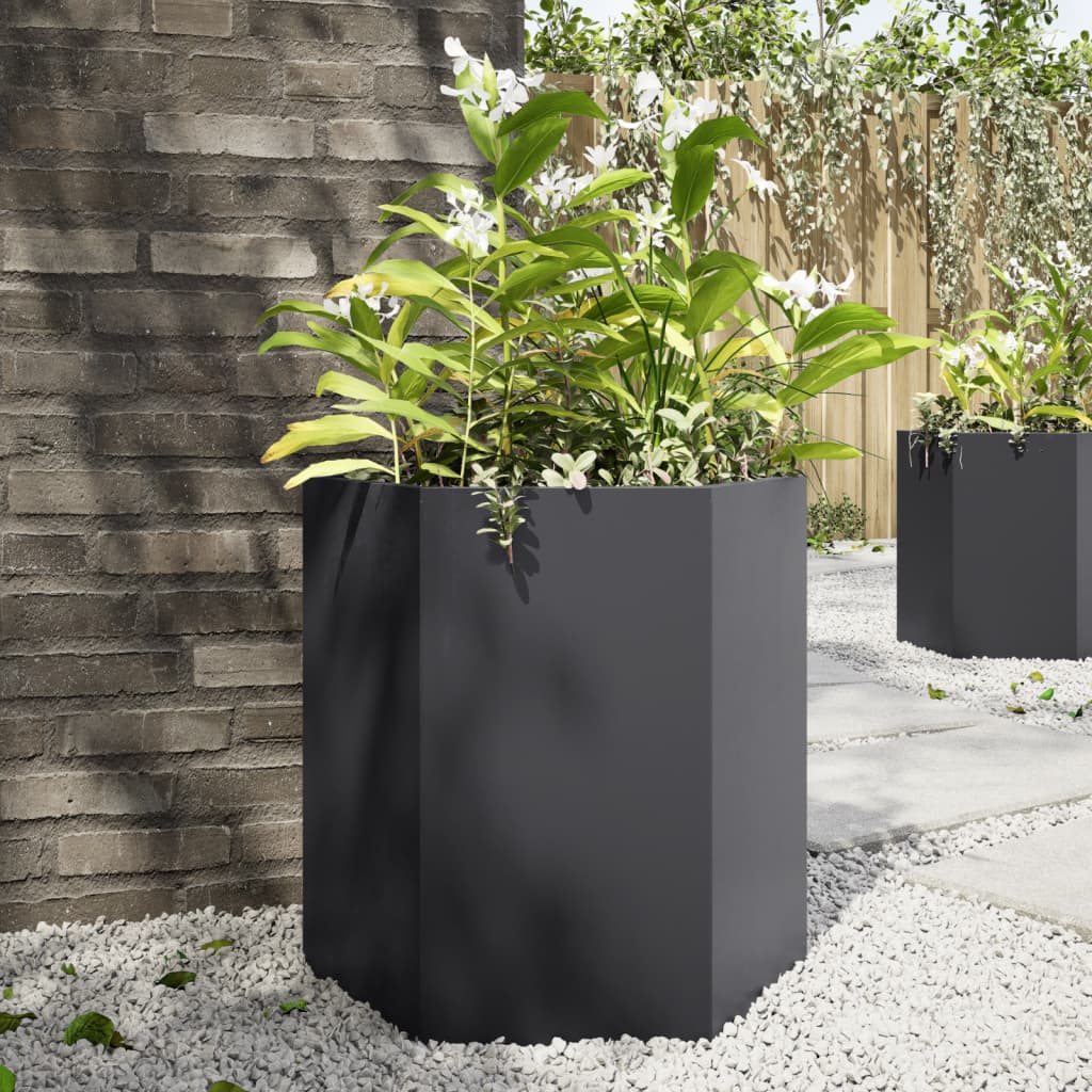 Vidaxl Planters 2 St Hexagon 46x40x45 cm en acier noir