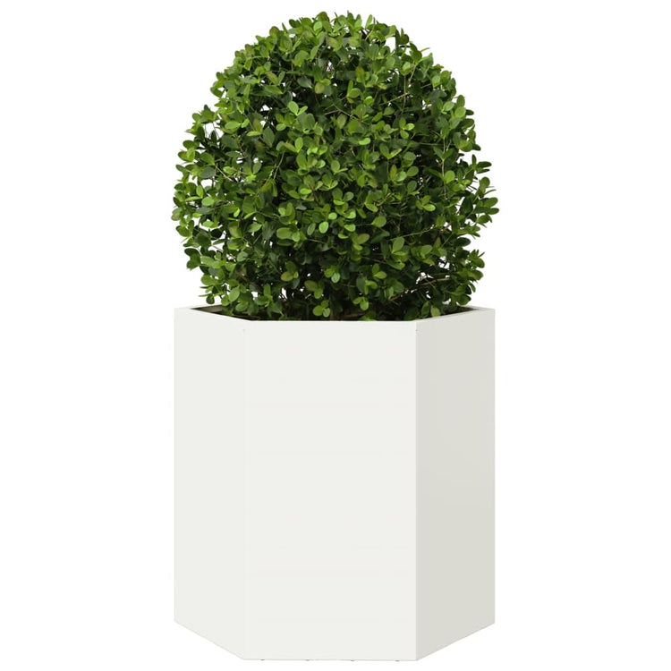 Vidaxl plannet hexagon 46x40x45 cm en acier blanc