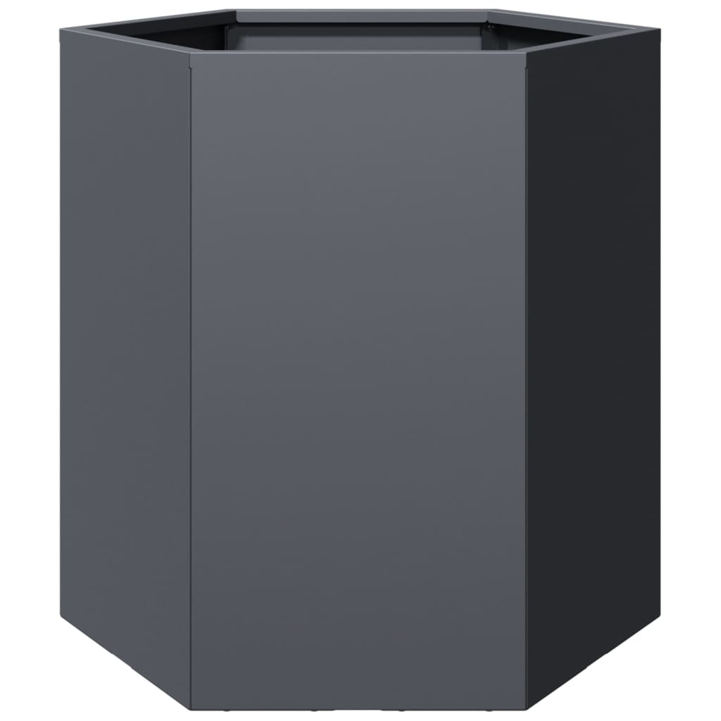 Vidaxl plannet hexagon 46x40x45 cm anthracite en acier -colore