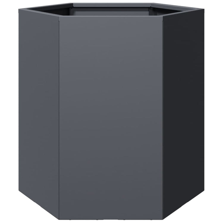 Vidaxl plannet hexagon 46x40x45 cm anthracite en acier -colore