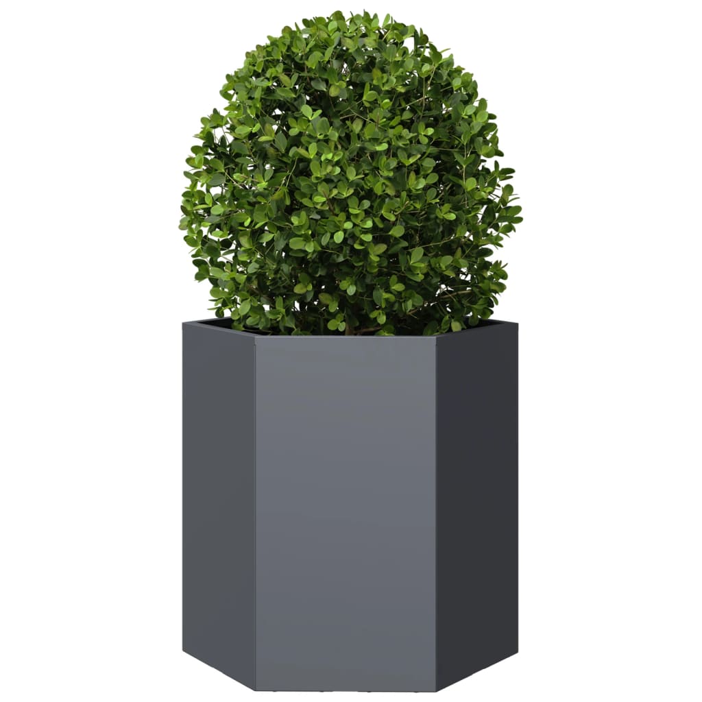 Vidaxl plannet hexagon 46x40x45 cm anthracite en acier -colore