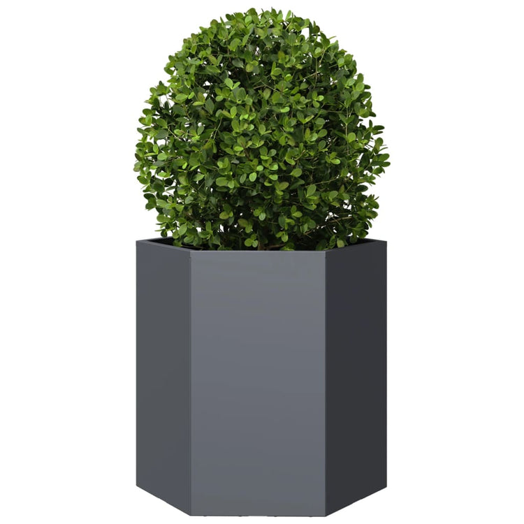 Vidaxl plannet hexagon 46x40x45 cm anthracite en acier -colore