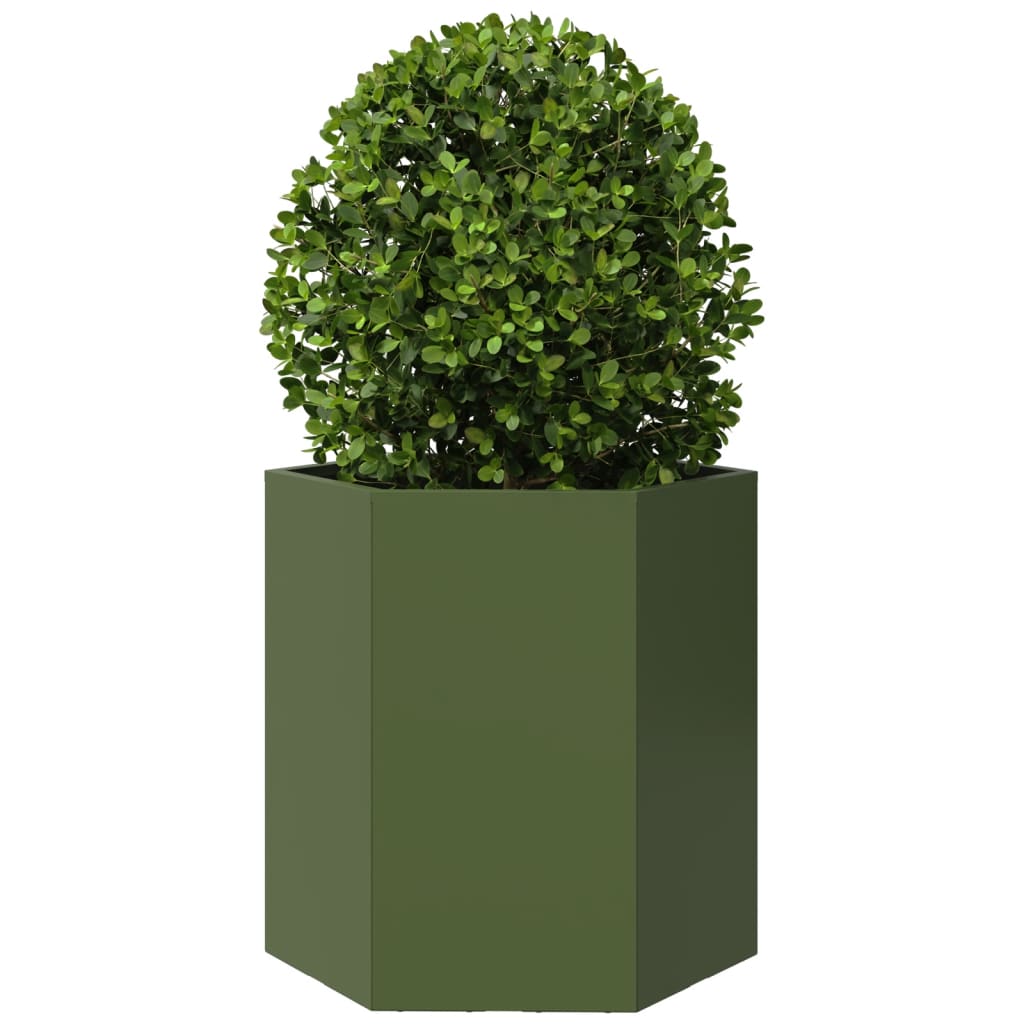 Vidaxl plannet hexagon 46x40x45 cm en acier olive vert