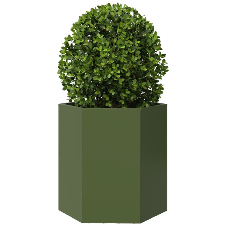 Vidaxl plannet hexagon 46x40x45 cm en acier olive vert