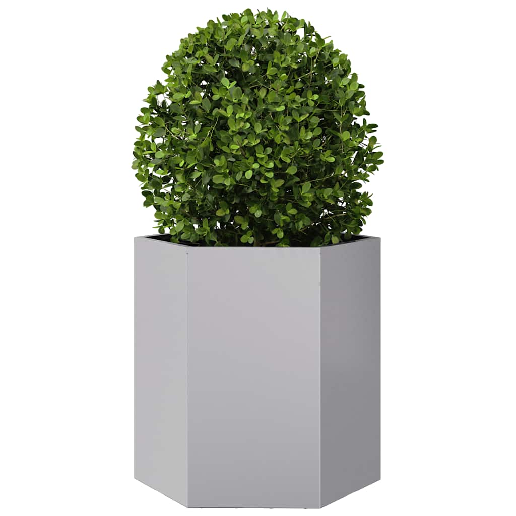 Vidaxl plannet hexagon 46x40x45 cm acier galvanisé