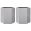 Vidaxl Planters 2 St Hexagon 46x40x45 cm en acier galvanisé