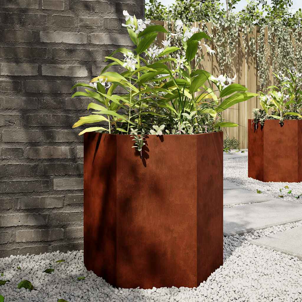 Vidaxl Planters 2 St Hexagon 46x40x45 cm