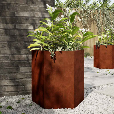 Vidaxl Planters 2 St Hexagon 46x40x45 cm