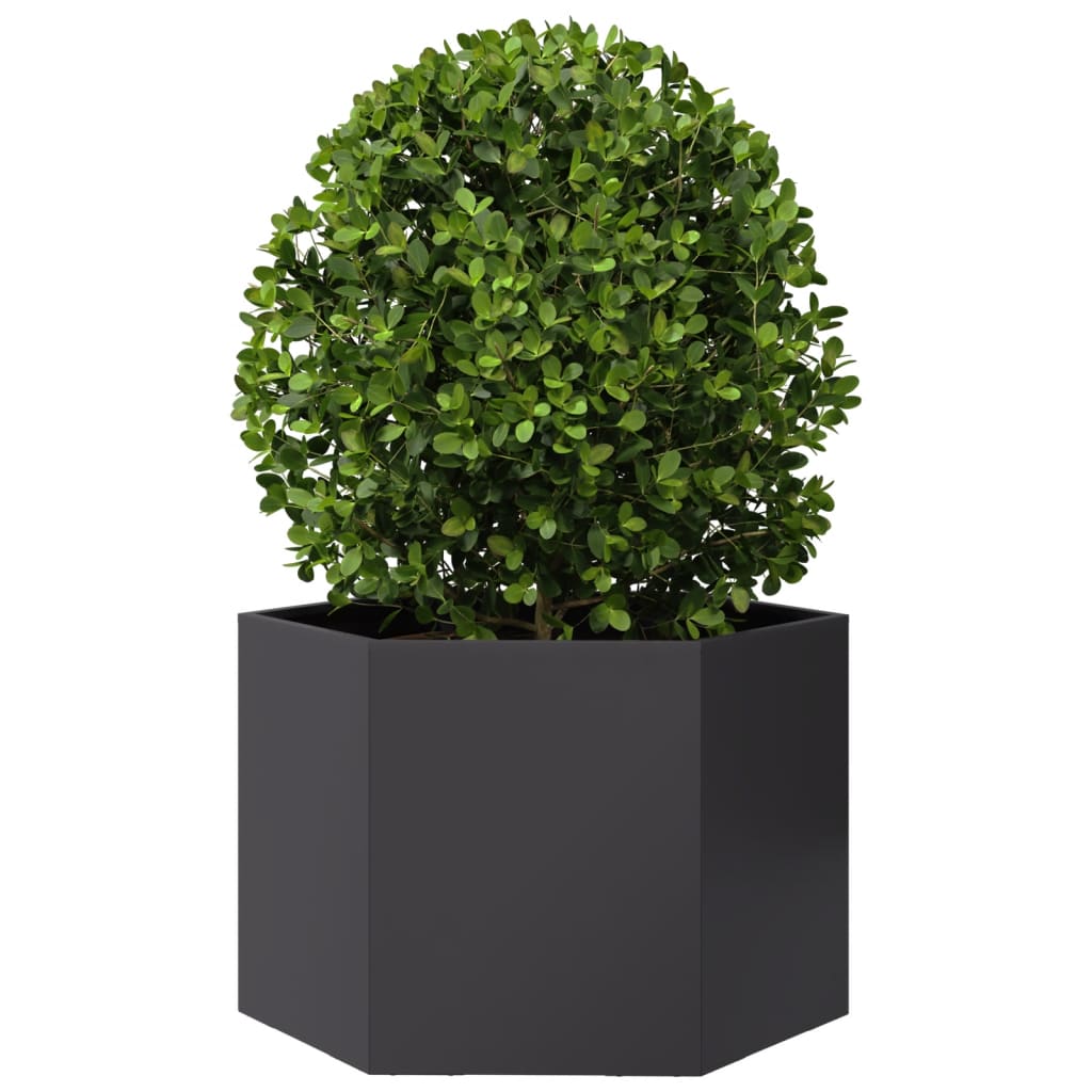 Vidaxl Planter Benket Hexagon 69x60x45 cm en acier noir