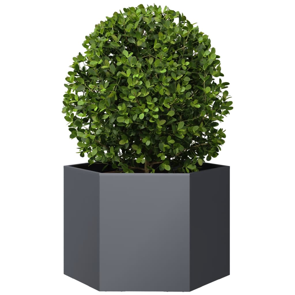 Vidaxl Planter Benket Hexagon 69x60x45 cm Anthracite en acier -colore