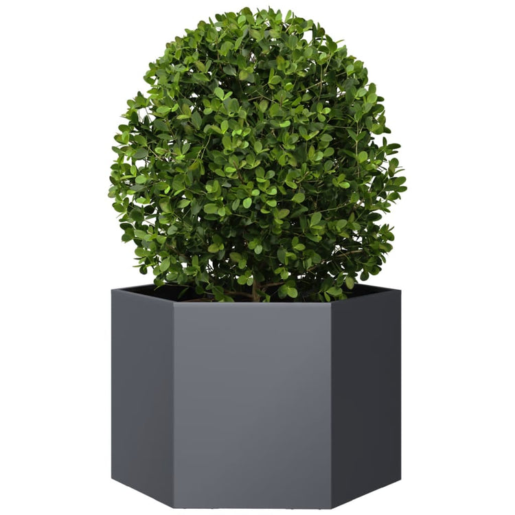 Vidaxl Planter Benket Hexagon 69x60x45 cm Anthracite en acier -colore