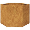 Vidaxl plannet hexagon 69x60x45 cm