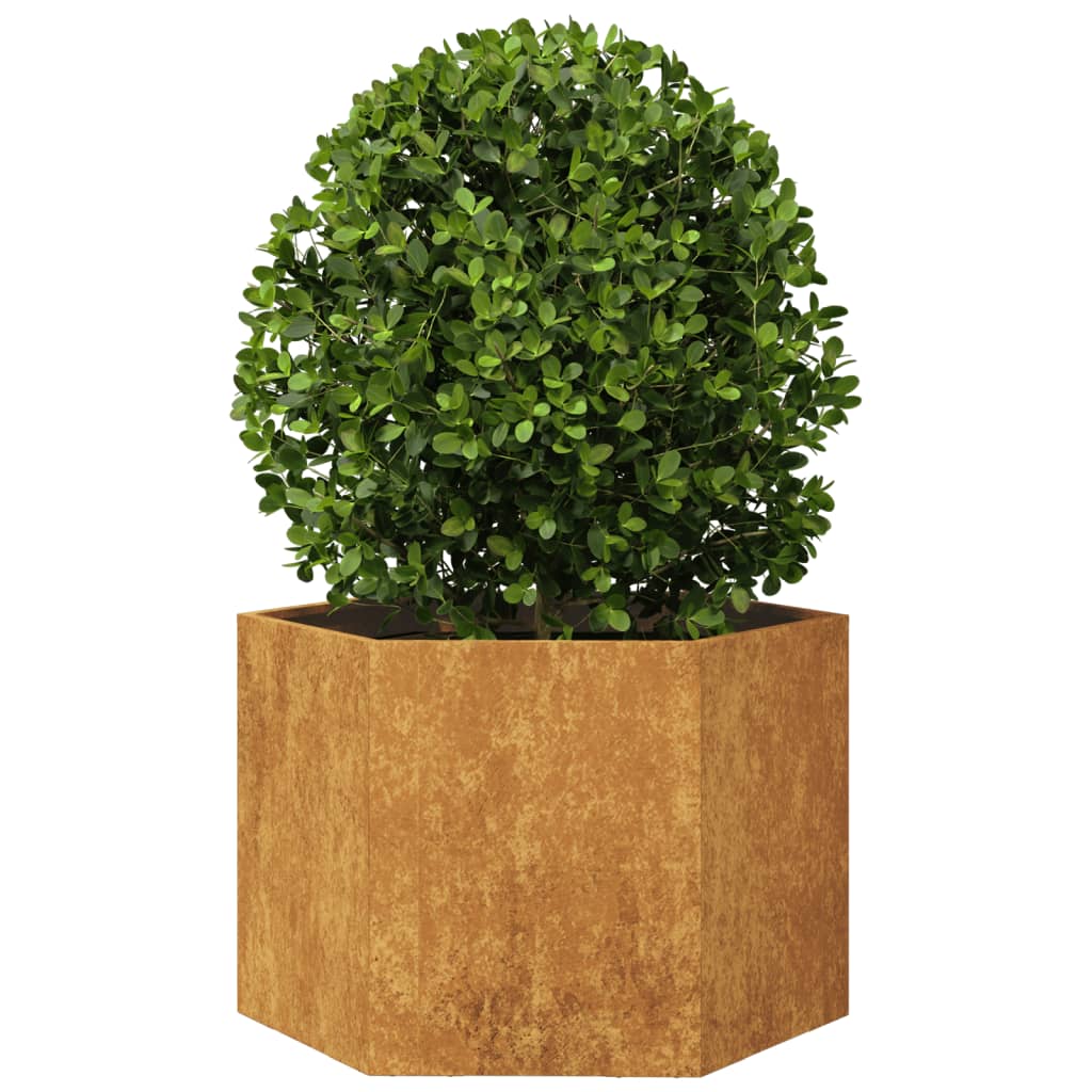 Vidaxl plannet hexagon 69x60x45 cm