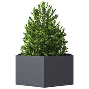 Vidaxl Plannet Henhoek 104x90x45 cm Anthracite en acier -colore - afbeelding 3