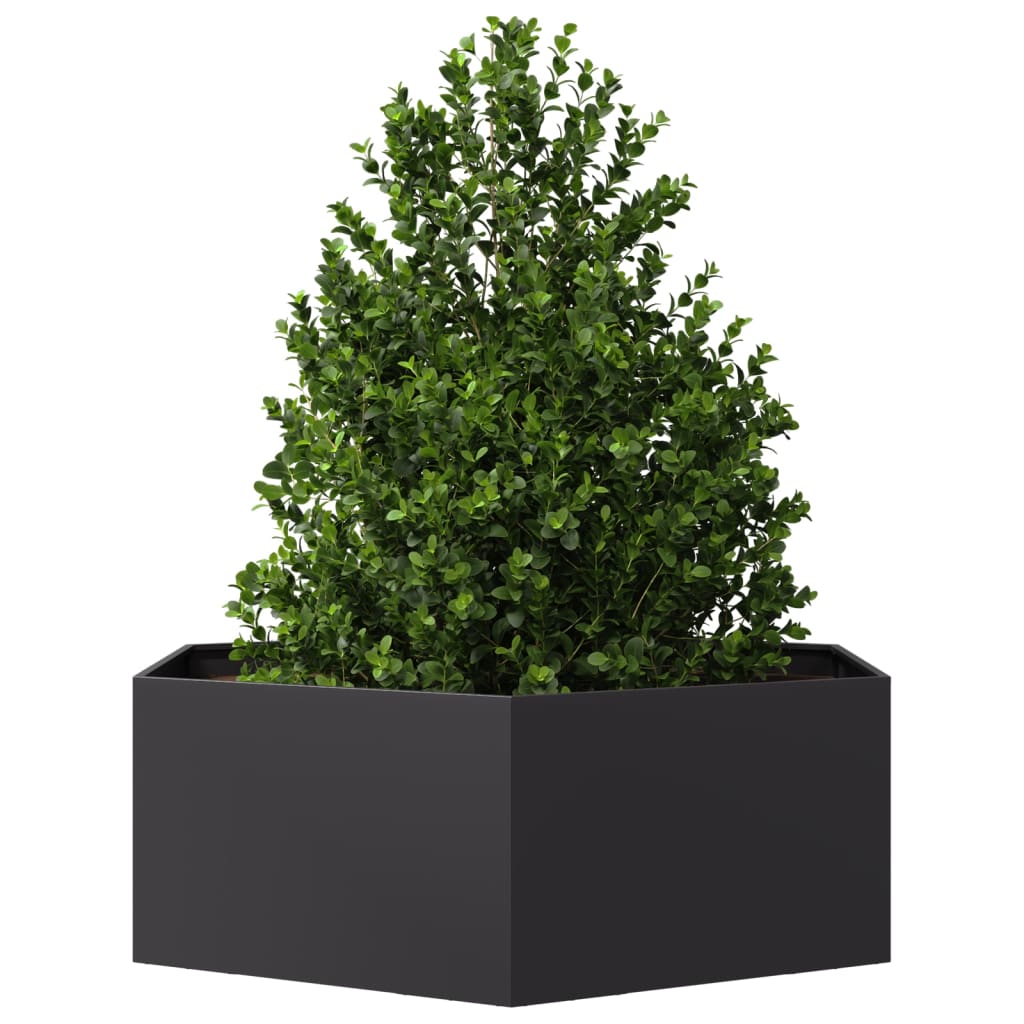 Vidaxl Planter Benket Hexagon 138x120x45 cm en acier noir