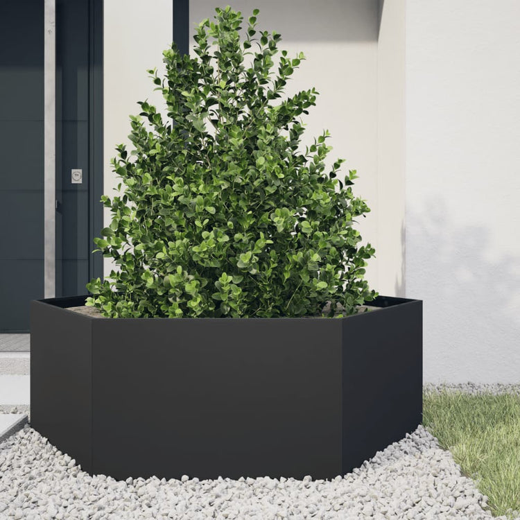 Vidaxl Planter Benket Hexagon 138x120x45 cm en acier noir