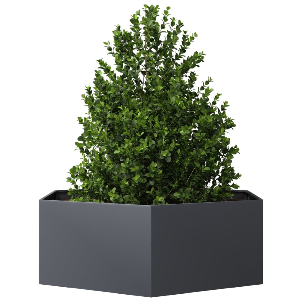 Vidaxl Planter Benket Hexagon 138x120x45 cm Anthracite en acier -colore