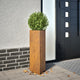 Vidaxl Planters 2 St Triangular 30x26x75 cm Acier météorologique