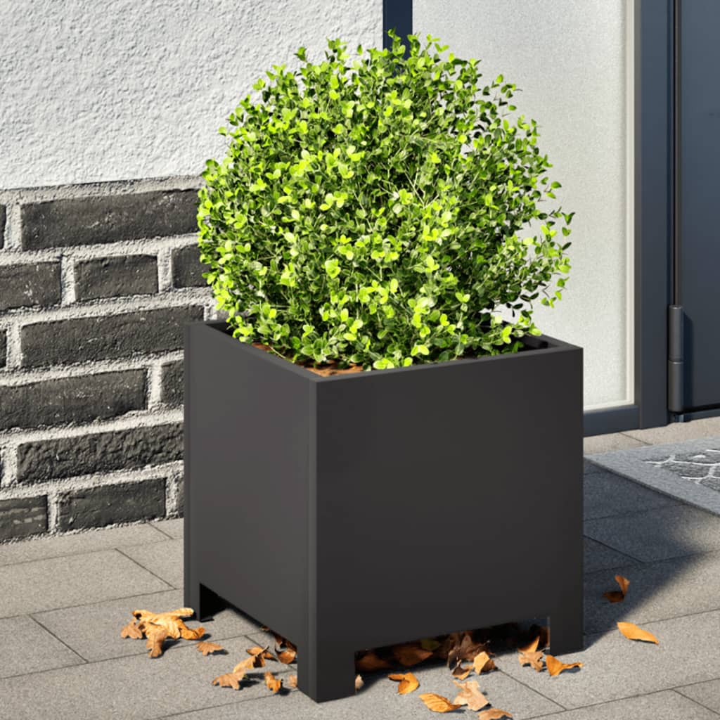 Vidaxl Planters 2 ST 30x30x30 cm en acier noir