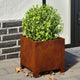 Vidaxl Planters 2 ST 30x30x30 cm