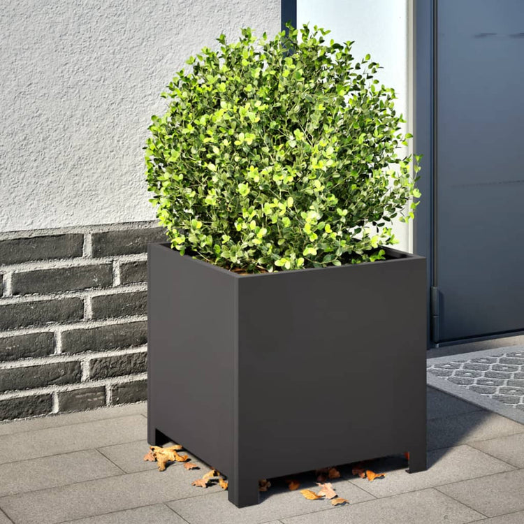 Jardinières vidaxl 2 ST 40x40x40 cm en acier noir