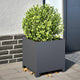 Vidaxl Planters 2 ST 40x40x40 cm Anthracite en acier -colore