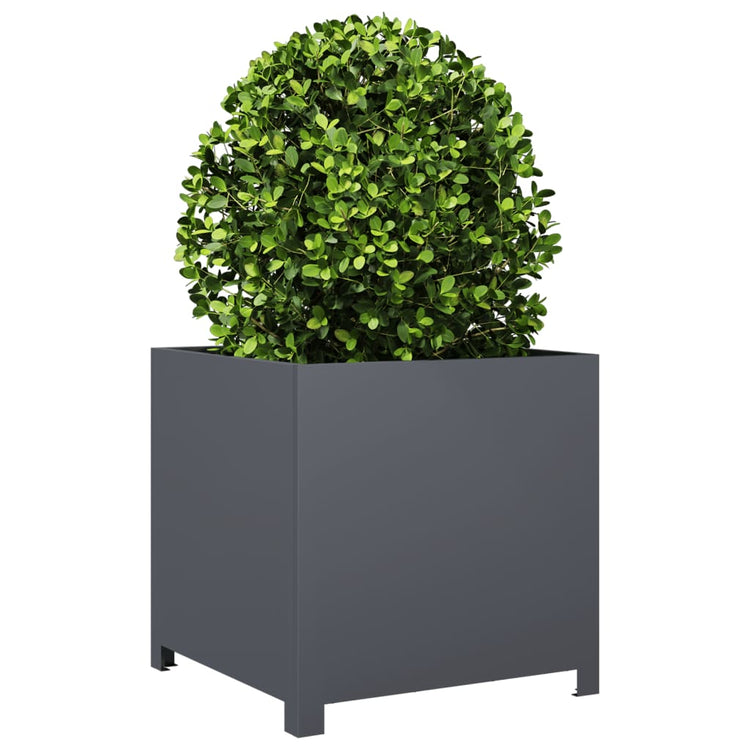Boîte de planification Vidaxl 50x50x50 cm anthracite en acier -colore